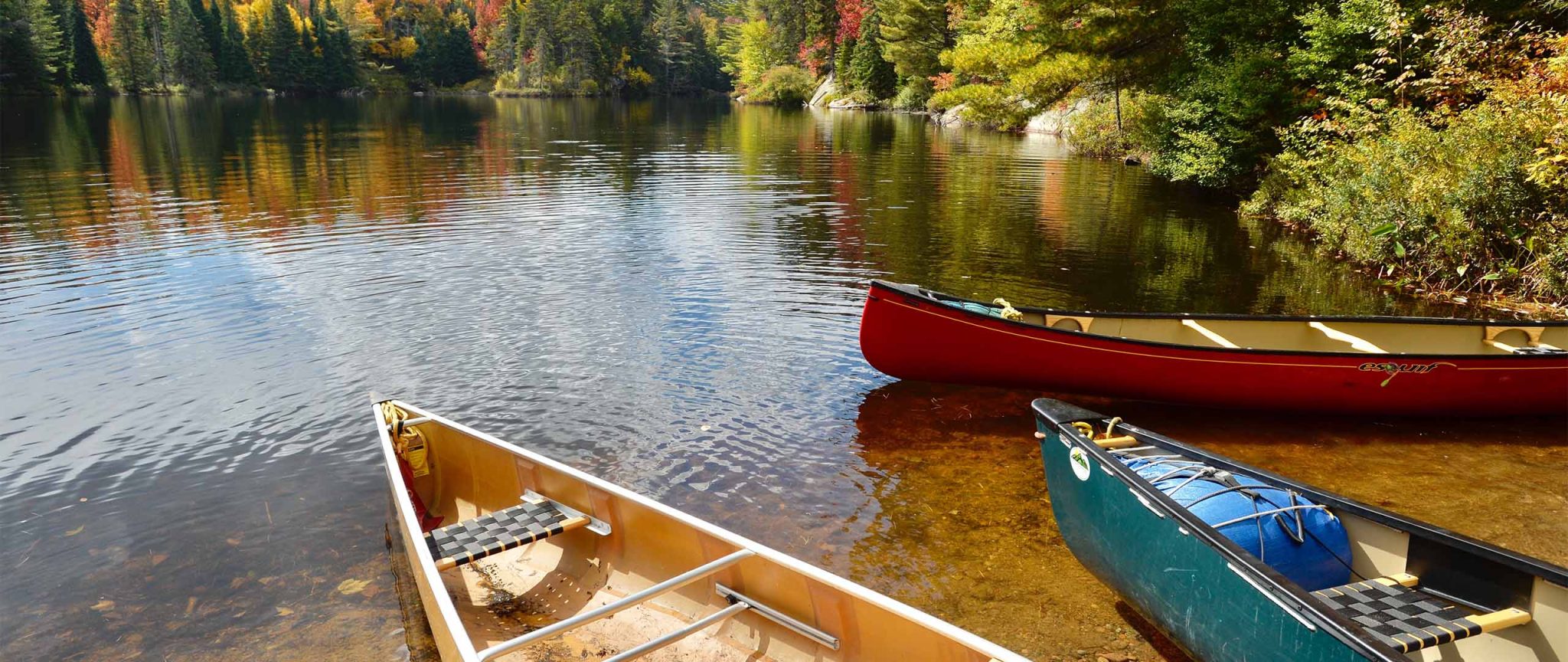 Canoe the Raquette River - The Wild Center